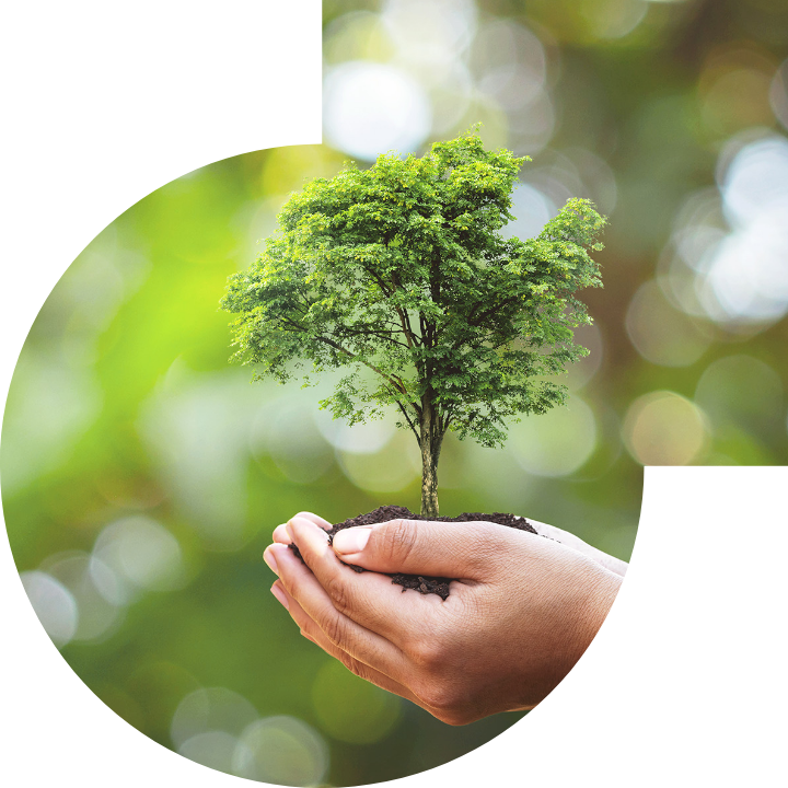 關懷人類、文化、環境與社會